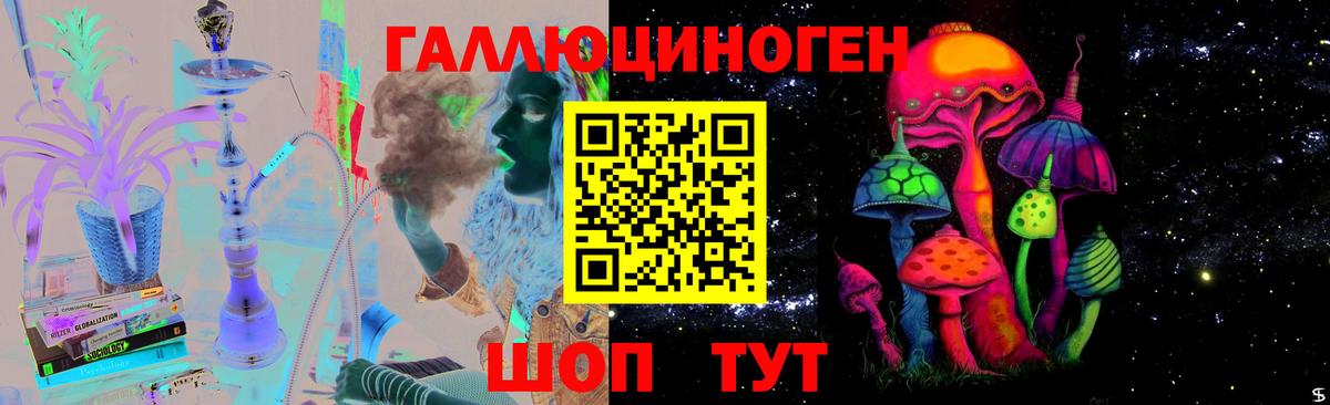 Кольчугино  Псилоцибиновые грибы GOLDEN TEACHER  цены наркотик  Вход с VPN  Галлюциногенные грибы Psilocybe 